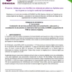 2 – Convocatoria – Contratación de servicios profesionales para actualización, adecuación, y socialización de documento de estándares internacionales de DDHH y juzgamiento de VCM en entornos digitales