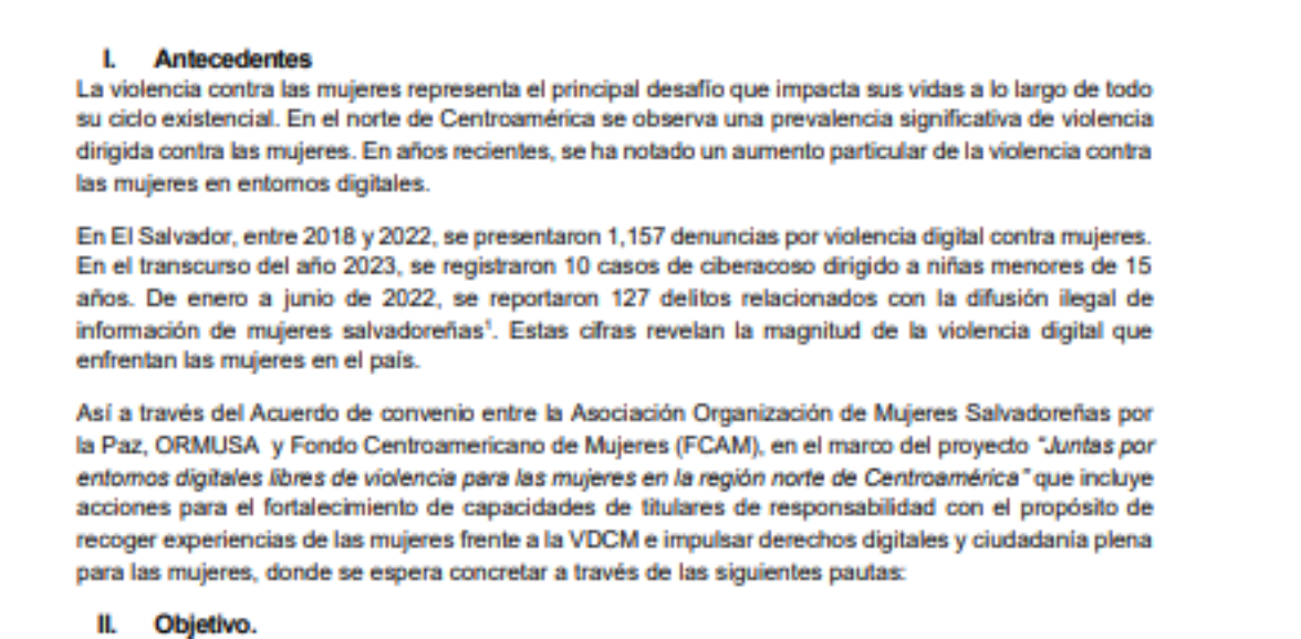 Asistencia técnica para facilitar presentación sobre abordaje de la violencia digital contra las mujeres desde estándares de DH con organizaciones de mujeres y feministas