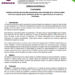 Asistencia técnica para facilitar presentación sobre abordaje de la violencia digital contra las mujeres desde estándares de DH con organizaciones de mujeres y feministas