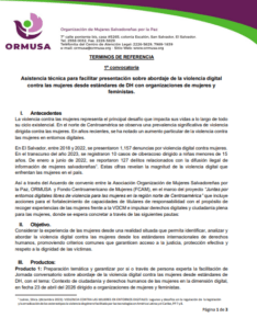 Lee más sobre el artículo Asistencia técnica para facilitar presentación sobre abordaje de la violencia digital contra las mujeres desde estándares de DH con organizaciones de mujeres y feministas