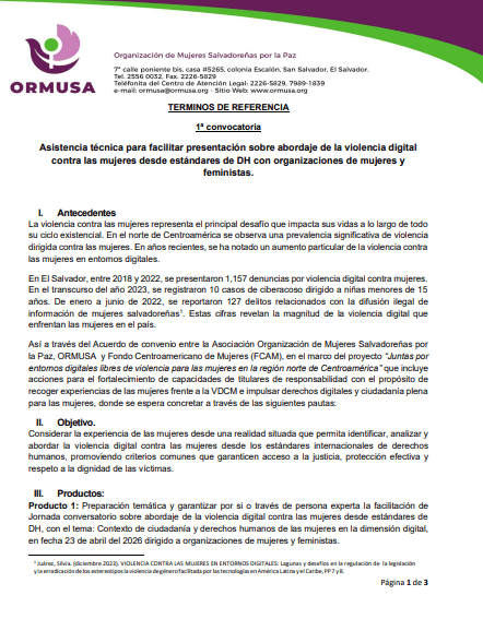 Asistencia técnica para facilitar presentación sobre abordaje de la violencia digital contra las mujeres desde estándares de DH con organizaciones de mujeres y feministas