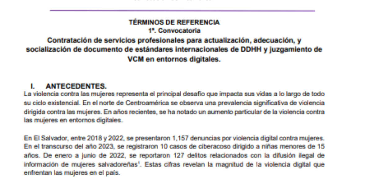 Contratación de servicios profesionales para actualización, adecuación, y socialización de documento de estándares internacionales de DDHH y juzgamiento de VCM en entornos digitales.
