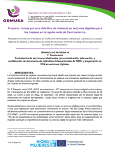 Lee más sobre el artículo Contratación de servicios profesionales para actualización, adecuación, y socialización de documento de estándares internacionales de DDHH y juzgamiento de VCM en entornos digitales.