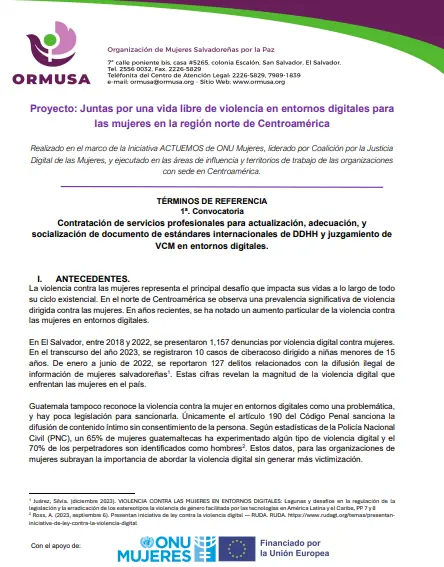 Contratación de servicios profesionales para actualización, adecuación, y socialización de documento de estándares internacionales de DDHH y juzgamiento de VCM en entornos digitales.