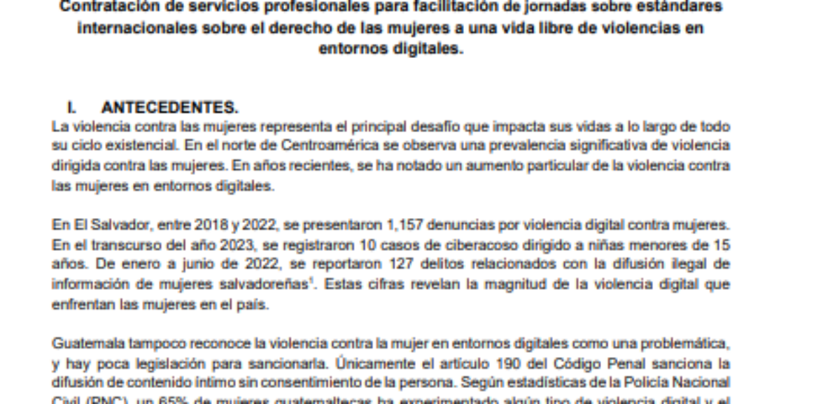 1ª. Convocatoria Contratación de servicios profesionales para facilitación de jornadas sobre estándares internacionales sobre el derecho de las mujeres a una vida libre de violencias en entornos digitales