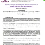 1ª. Convocatoria Contratación de servicios profesionales para facilitación de jornadas sobre estándares internacionales sobre el derecho de las mujeres a una vida libre de violencias en entornos digitales