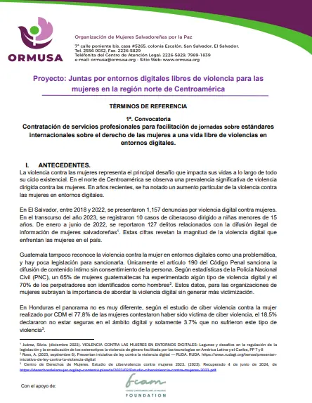 1ª. Convocatoria Contratación de servicios profesionales para facilitación de jornadas sobre estándares internacionales sobre el derecho de las mujeres a una vida libre de violencias en entornos digitales