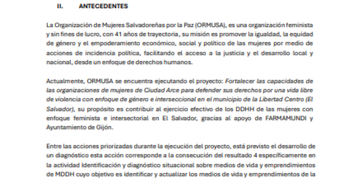 Asistencia técnica para la elaboración de diagnostico de emprendimientos en Ciudad Arce