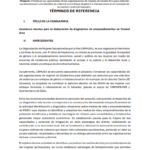 Asistencia técnica para la elaboración de diagnostico de emprendimientos en Ciudad Arce