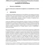 Asistencia técnica para la elaboración de diagnostico de emprendimientos en Ciudad Arce