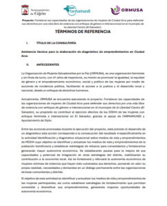 Lee más sobre el artículo Asistencia técnica para la elaboración de diagnostico de emprendimientos en Ciudad Arce