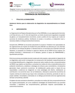 Lee más sobre el artículo Asistencia técnica para la elaboración de diagnostico de emprendimientos en Ciudad Arce
