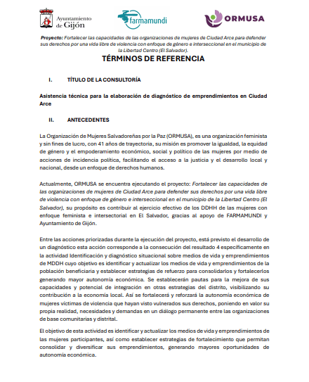 Asistencia técnica para la elaboración de diagnostico de emprendimientos en Ciudad Arce