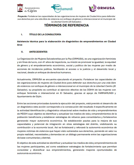 Asistencia técnica para la elaboración de diagnostico de emprendimientos en Ciudad Arce