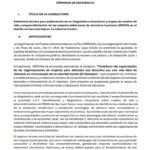 Asistencia técnica para elaboración de un diagnóstico situacional y mapeo de medios de vida y emprendimientos de las mujeres defensoras de derechos humanos (MDDH) en el distrito de San Juan Opico, La Libertad Centro