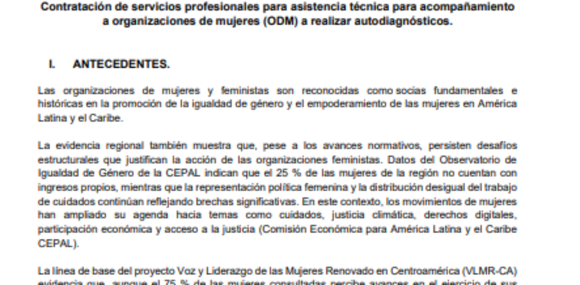Contratación de servicios profesionales para asistencia técnica para acompañamiento a organizaciones de mujeres (ODM) a realizar autodiagnósticos.