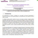 Contratación de servicios profesionales para asistencia técnica para acompañamiento a organizaciones de mujeres (ODM) a realizar autodiagnósticos.