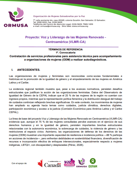 Contratación de servicios profesionales para asistencia técnica para acompañamiento a organizaciones de mujeres (ODM) a realizar autodiagnósticos.