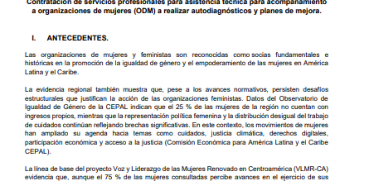 Contratación de servicios profesionales para asistencia técnica para acompañamiento a organizaciones de mujeres (ODM) a realizar autodiagnósticos y planes de mejora