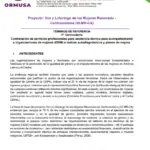 Contratación de servicios profesionales para asistencia técnica para acompañamiento a organizaciones de mujeres (ODM) a realizar autodiagnósticos y planes de mejora
