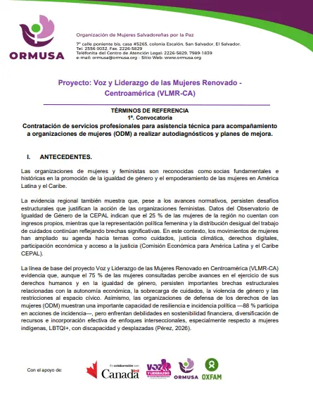 Contratación de servicios profesionales para asistencia técnica para acompañamiento a organizaciones de mujeres (ODM) a realizar autodiagnósticos y planes de mejora