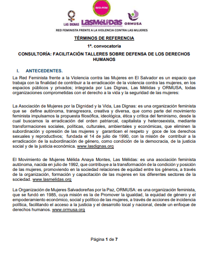 Consultoría : Facilitación talleres sobre defensa de los derechos humanos