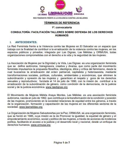 Consultoría : Facilitación talleres sobre defensa de los derechos humanos