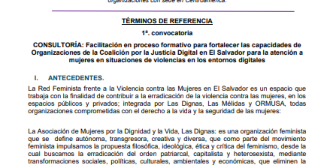 CONSULTORÍA: Facilitación en proceso formativo para fortalecer las capacidades de Organizaciones de la Coalición por la Justicia Digital en El Salvador para la atención a mujeres en situaciones de violencias en los entornos digitales
