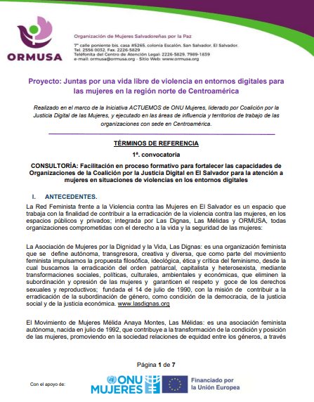 CONSULTORÍA: Facilitación en proceso formativo para fortalecer las capacidades de Organizaciones de la Coalición por la Justicia Digital en El Salvador para la atención a mujeres en situaciones de violencias en los entornos digitales