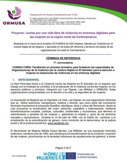 CONSULTORÍA: Facilitación en proceso formativo para fortalecer las capacidades de Organizaciones de la Coalición por la Justicia Digital en El Salvador para la atención a mujeres en situaciones de violencias en los entornos digitales