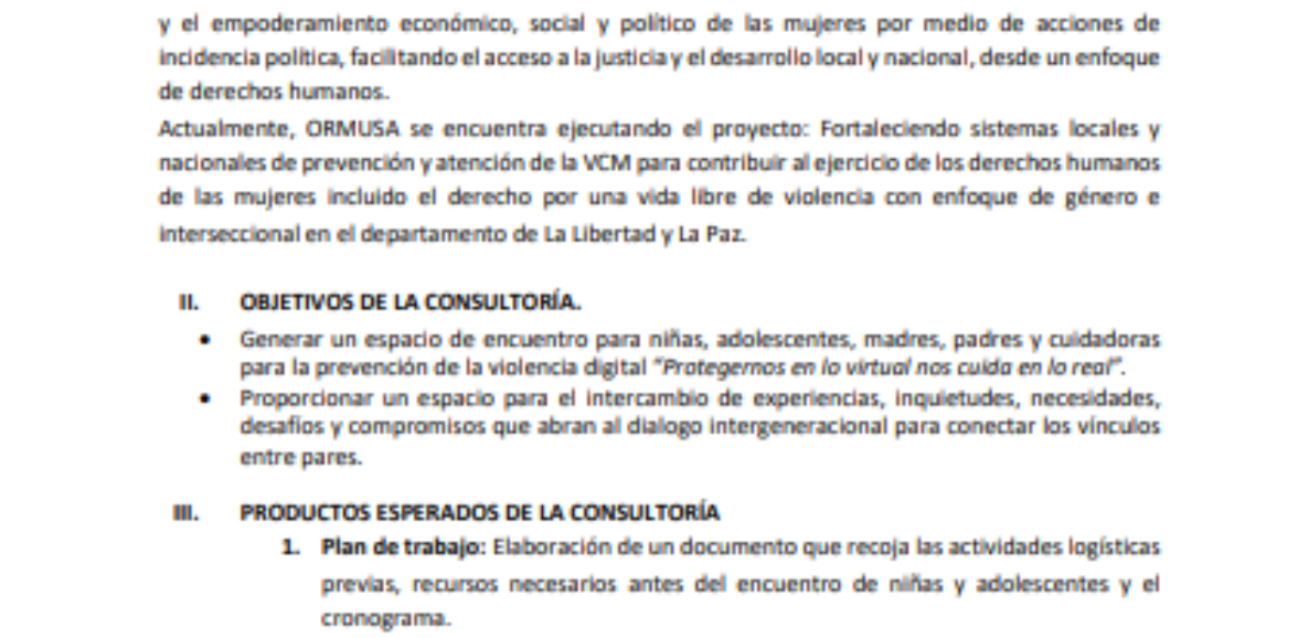 Asistencia técnica para la realización de intercambio intergeneracional » protegernos en lo virtual nos cuida de lo real»