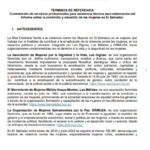 Contratación de servicios profesionales para asistencia técnica para elaboración del Informe sobre la condición y situación de las mujeres en El Salvador.