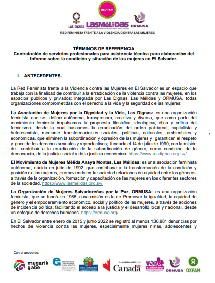 Contratación de servicios profesionales para asistencia técnica para elaboración del Informe sobre la condición y situación de las mujeres en El Salvador.