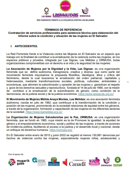 Contratación de servicios profesionales para asistencia técnica para elaboración del Informe sobre la condición y situación de las mujeres en El Salvador.