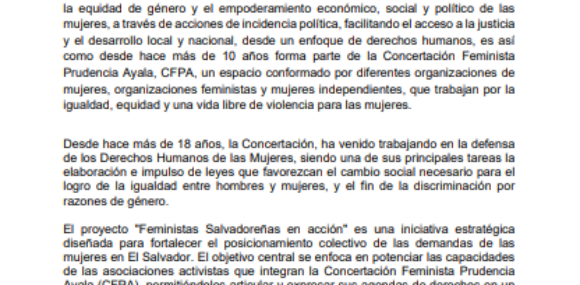 Asistencia técnica para realizar informe sobre implementación de la ley de igualdad y erradicación de la discriminación contra las mujeres 2015 a 2025