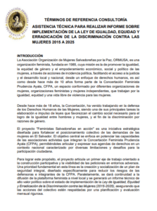 Lee más sobre el artículo Asistencia técnica para realizar informe sobre implementación de la ley de igualdad y erradicación de la discriminación contra las mujeres 2015 a 2025