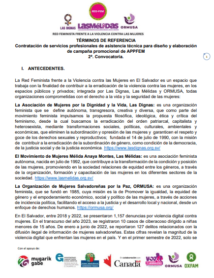 Contratación de servicios profesionales de asistencia técnica para diseño y elaboración de campaña promocional de APPFEM2ª. Convocatoria