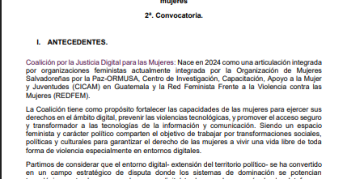 Contratación de servicios profesionales para facilitación y sistematización de taller regional con organizaciones feministas de la Coalición por la Justicia Digital para las mujeres 2 – Convocatoria