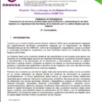 Contratación de servicios profesionales para facilitación y sistematización de taller regional con organizaciones feministas de la Coalición por la Justicia Digital para las mujeres 2 – Convocatoria