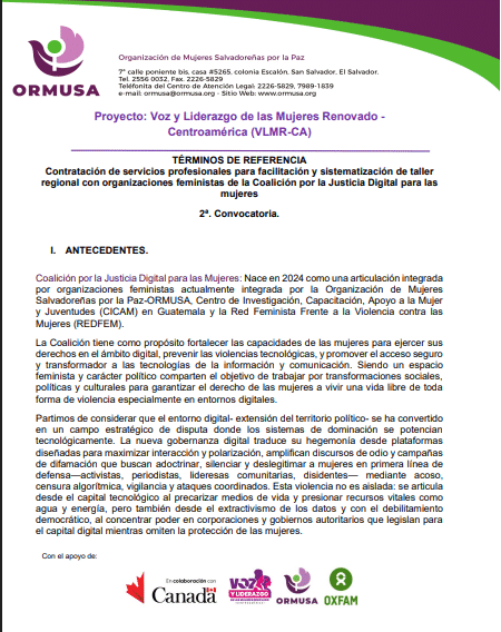 Contratación de servicios profesionales para facilitación y sistematización de taller regional con organizaciones feministas de la Coalición por la Justicia Digital para las mujeres 2 – Convocatoria