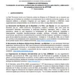Contratación de servicios profesionales de asistencia técnica para diseño y elaboración de campaña promocional de APPFEM1ª. Convocatoria