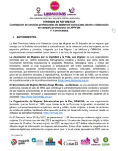 Lee más sobre el artículo Contratación de servicios profesionales de asistencia técnica para diseño y elaboración de campaña promocional de APPFEM1ª. Convocatoria